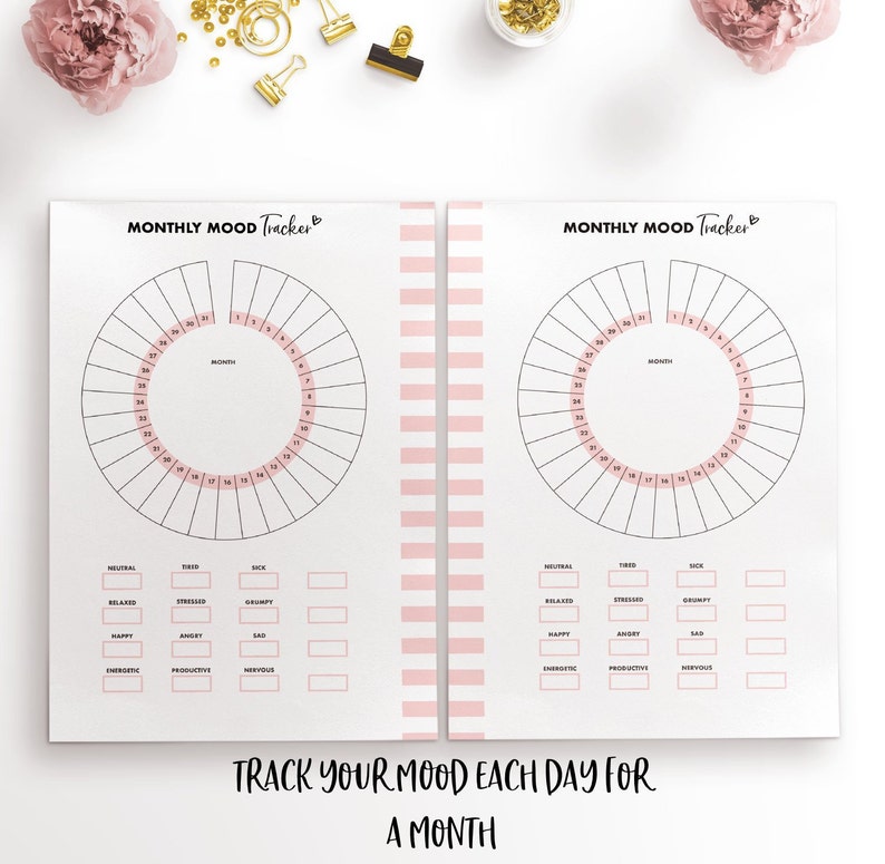 Planify Pro, Personal Wide, Mood Tracker image 2