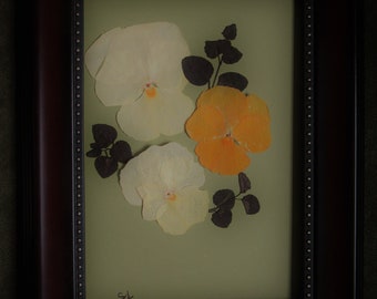 Pressed Framed Flowers