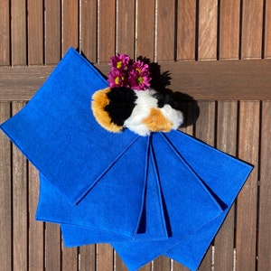 DiBi's PipiPad* 5-Set urindichte Pipipads für Kuschelsäcke Meerschweinchen  ca 28 x28 cm (Gr. Q) -royalblau-