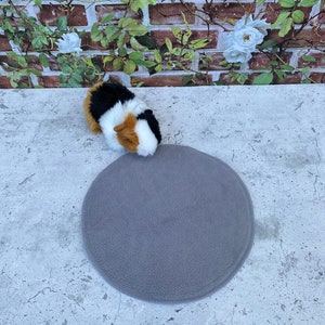 Könnte beinhalten: Ein dreifarbiges Meerschweinchen mit schwarzem, weißem und braunem Fell sitzt neben einem runden, grauen Fleece-Pad. Das Pad befindet sich auf einer hellgrauen Oberfläche. Der Hintergrund zeigt eine Backsteinmauer mit weißen floralen Akzenten.