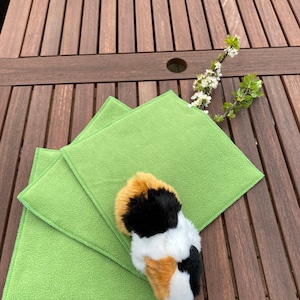 Könnte beinhalten: Ein Set aus drei quadratischen, limettengrünen Fleece-Tüchern und einem dreifarbigen Meerschweinchen-Spielzeug. Das Spielzeug hat Flecken aus schwarzem, weißem und hellbraunem Fell. Die Artikel liegen auf einem dunklen Holztisch.