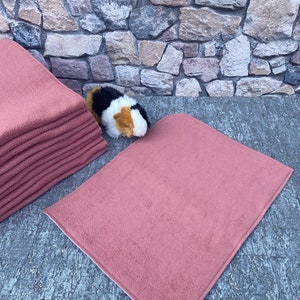 Könnte beinhalten: Eine weiche, rosafarbene Fleece-Decke mit weißem Rand. Die Decke ist in der Hälfte gefaltet und liegt auf einer grauen Betonfläche. Ein kleines, schwarz-weiß-oranges Meerschweinchen liegt auf der Decke.