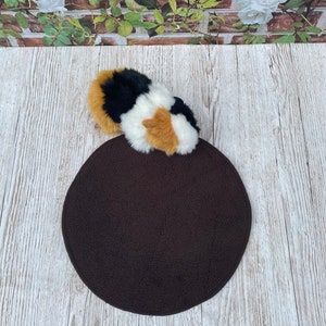 Könnte beinhalten: Ein rundes, braunes Plüschtierbett mit einem dreifarbigen Katzenspielzeug darauf.