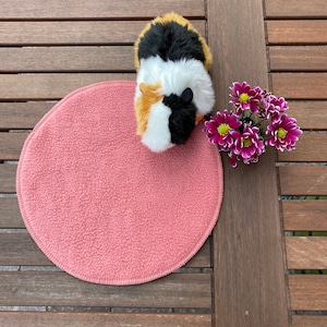 Könnte beinhalten: Ein rundes rosa Fleece-Tierbett mit einem dreifarbigen Meerschweinchen, das darauf sitzt. Das Bett befindet sich auf einer Holzoberfläche mit einem Strauß lila Blumen rechts.