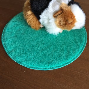 Könnte beinhalten: Ein kleines, dreifarbiges Meerschweinchen mit schwarzem, weißem und braunem Fell schläft auf einem runden, türkisfarbenen Fleece-Bett.