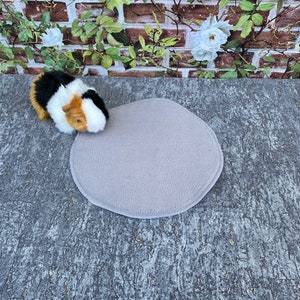 Könnte beinhalten: Ein rundes Haustierbett in hellgrau mit einer plüschigen Textur. Das Bett befindet sich auf einer grauen, strukturierten Oberfläche. Ein kleines schwarz-weiß-orangenes Meerschweinchen sitzt neben dem Bett.