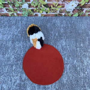 Könnte beinhalten: Ein rundes, rotes, flauschiges Haustierbett mit einer dreifarbigen Katze, die am Rand sitzt.