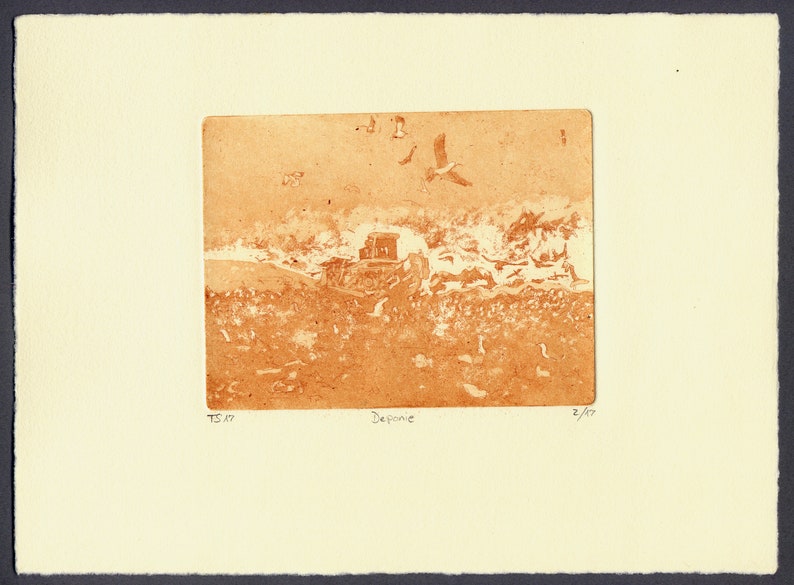 Etching T.S.'17 Landfill image 1