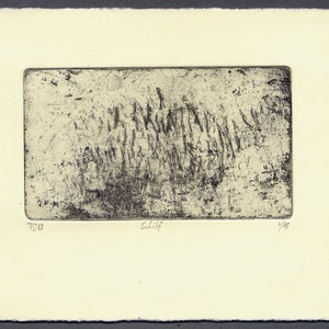 Etching T.S.'18 Reed image 1