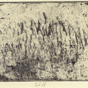 Etching T.S.'18 Reed image 2