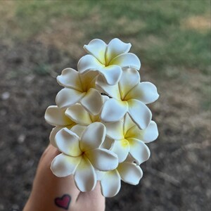 Polymer Clay Plumeria Picks, Lauhala Hat Addition Pua Pick, Plumeria