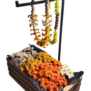 Puakenikeni Picks, Polymer Clay Puakenikeni Picks, Hawai’i Inspired Clay Flower, Handmade Puakenikeni Polymer Clay  Hair Pick