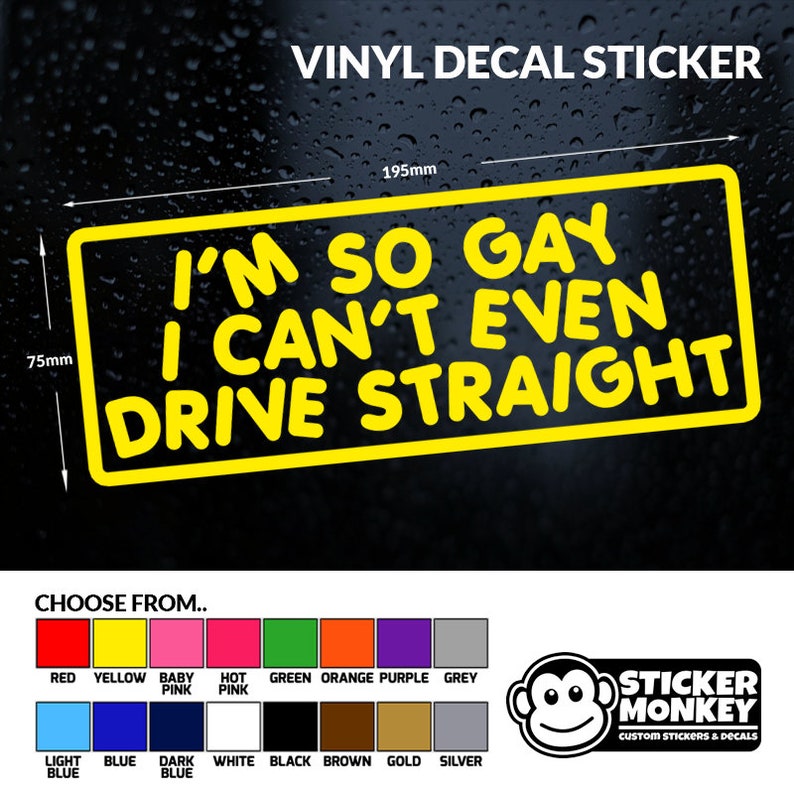 I'M SO GAY I Cant Even Drive Straight Funny Etsy