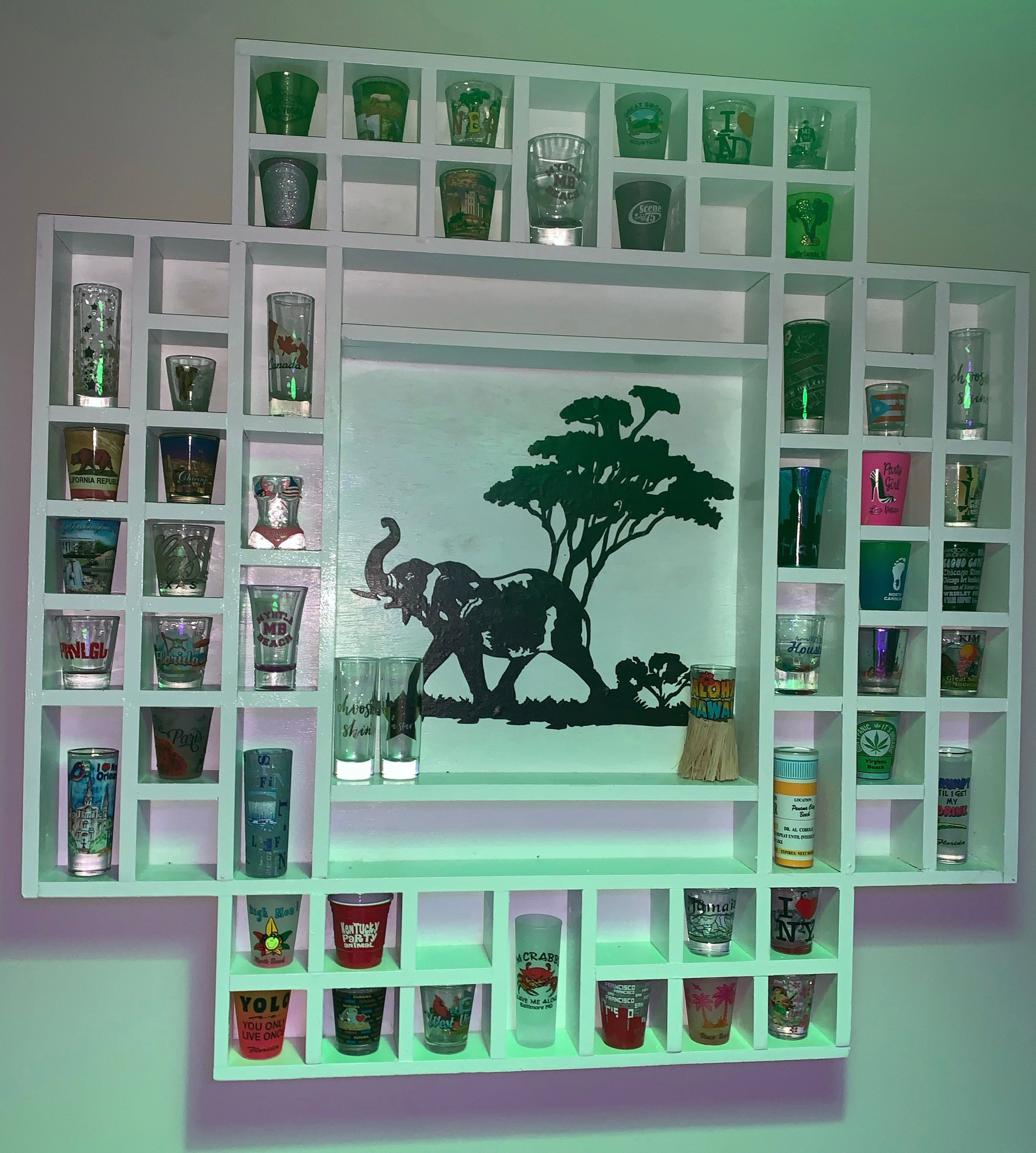 Souvenir Display Case Etsy