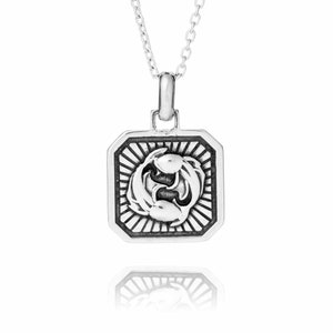 Sterling silver pisces zodiac necklace - Star sign jewellery - Astrology necklace - Horoscope necklace