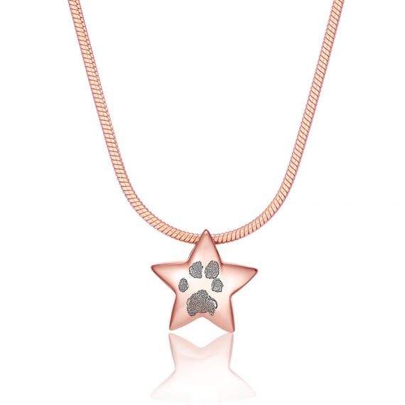 Rose Gold Star Ashes Paw Print Necklace • Memorial Jewellery • Paw