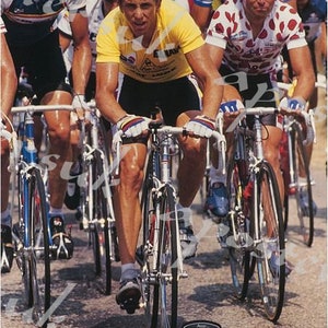 1986 cartel promocional de ciclismo del tour de francia impresión a3/a4