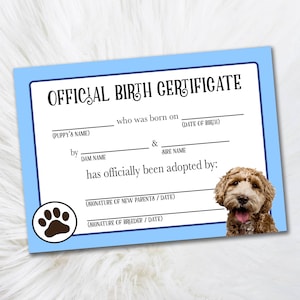 Certificat d’adoption d’un goldendoodle imprimable - Certificat d’adoption - Certificat officiel d’adoption d’animaux de compagnie Certificat numérique d’éleveurs de chiens