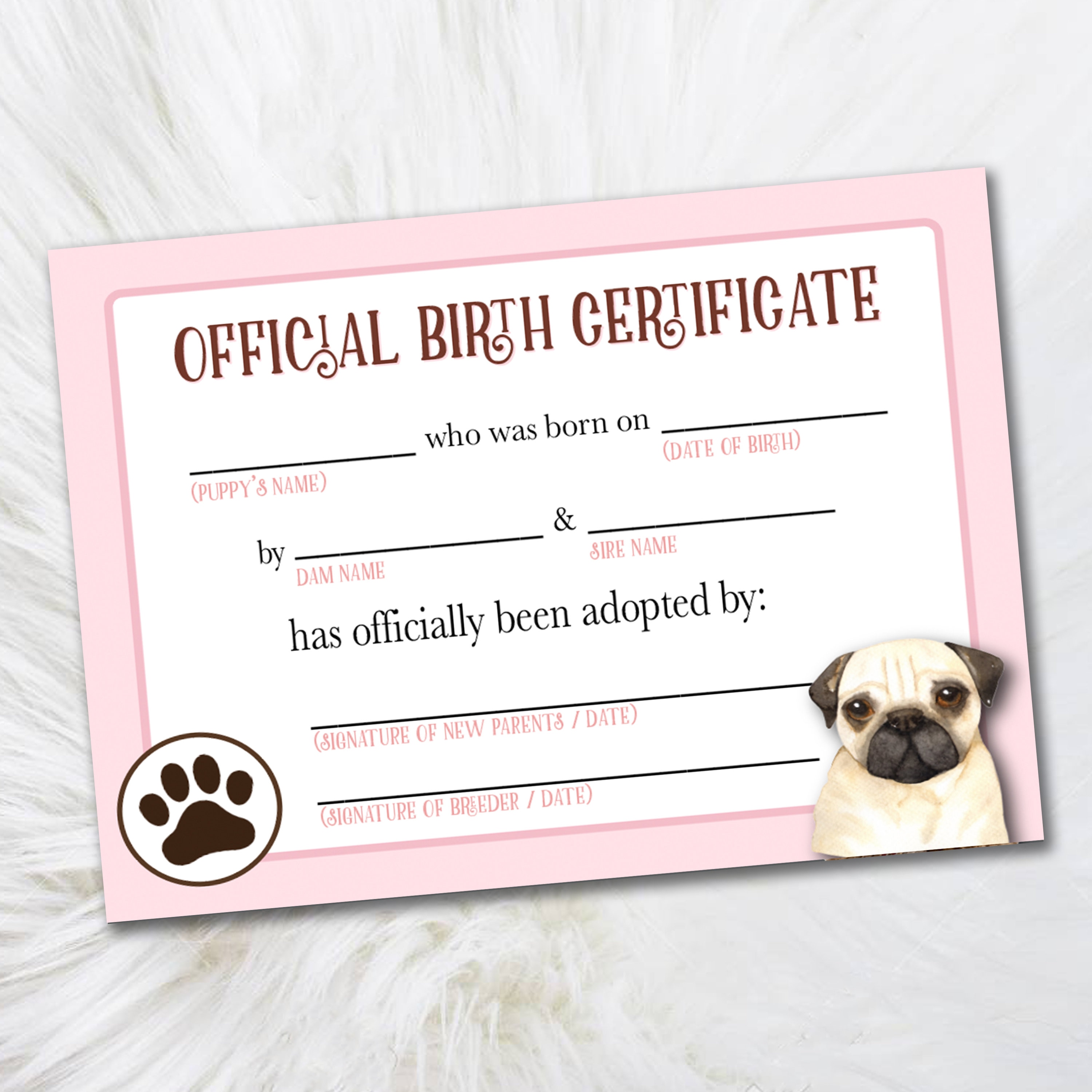 Printable Pug Adoption Certificate - Certificate of Adoption Printout -  Official Pet Adoption Certificate - Digital Dog Breeders Certificate For Blank Adoption Certificate Template Printable Pug Adoption Certificate - Certificate of Adoption Printout -  Official Pet Adoption Certificate - Digital Dog Breeders Certificate For Blank Adoption Certificate Template