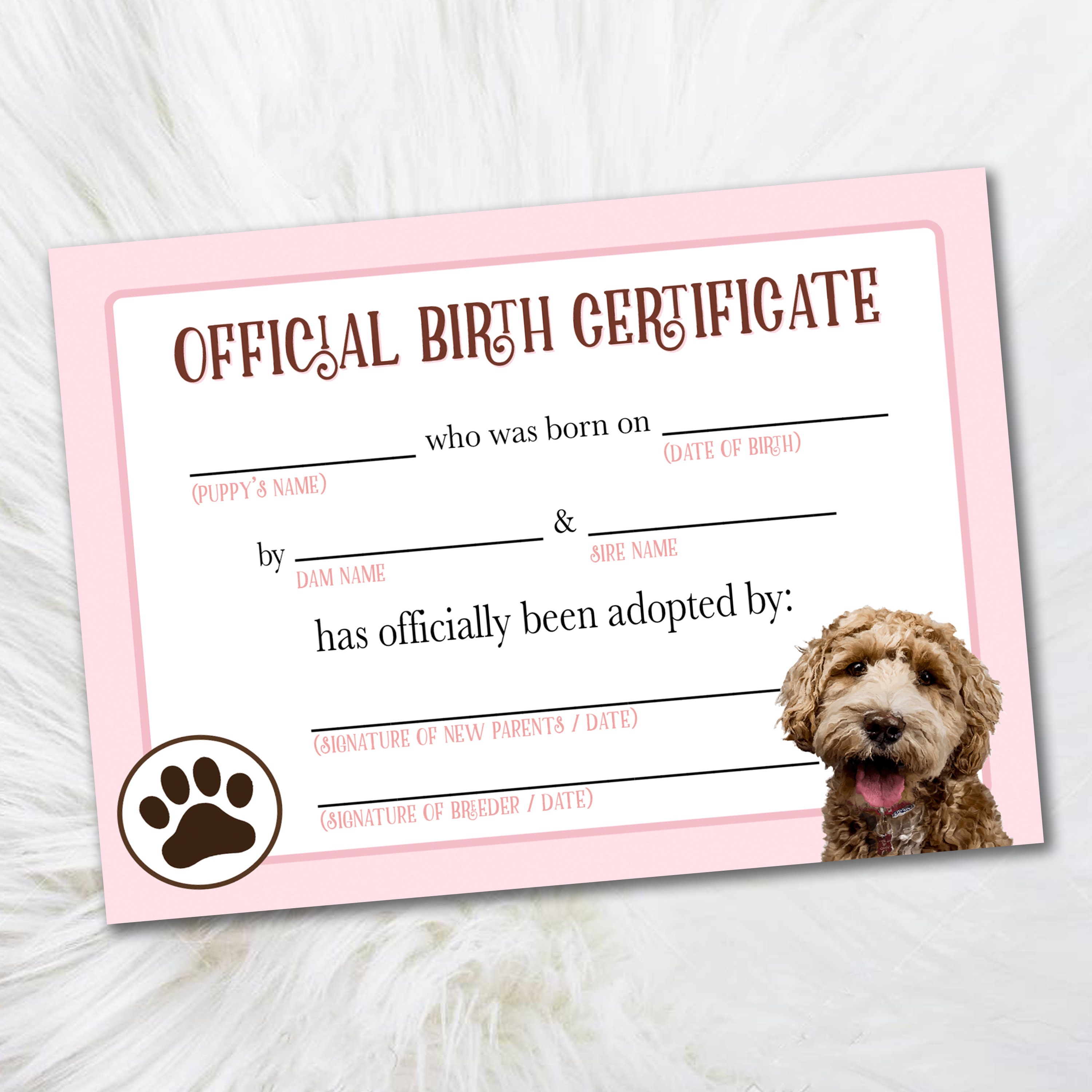 Printable GoldenDoodle Adoption Certificate - Certificate of Adoption -  Official Pet Adoption Certificate Digital Dog Breeders Certificate Throughout Pet Adoption Certificate Template