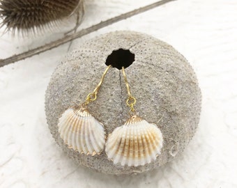 Earrings shell white stainless steel hook gold