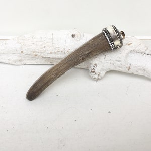 cattle horn dent avec zircon