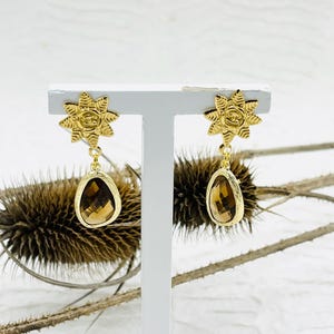 May include: Gold earrings with a star-shaped design and a teardrop-shaped brown gemstone.