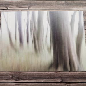Postkarte Wald limitierte Kleinstauflage Sammlerkarte Märchenwald mystisch märchenhaft Nebel Baum Bäume stimmungsvoll sagenhaft traumhaft