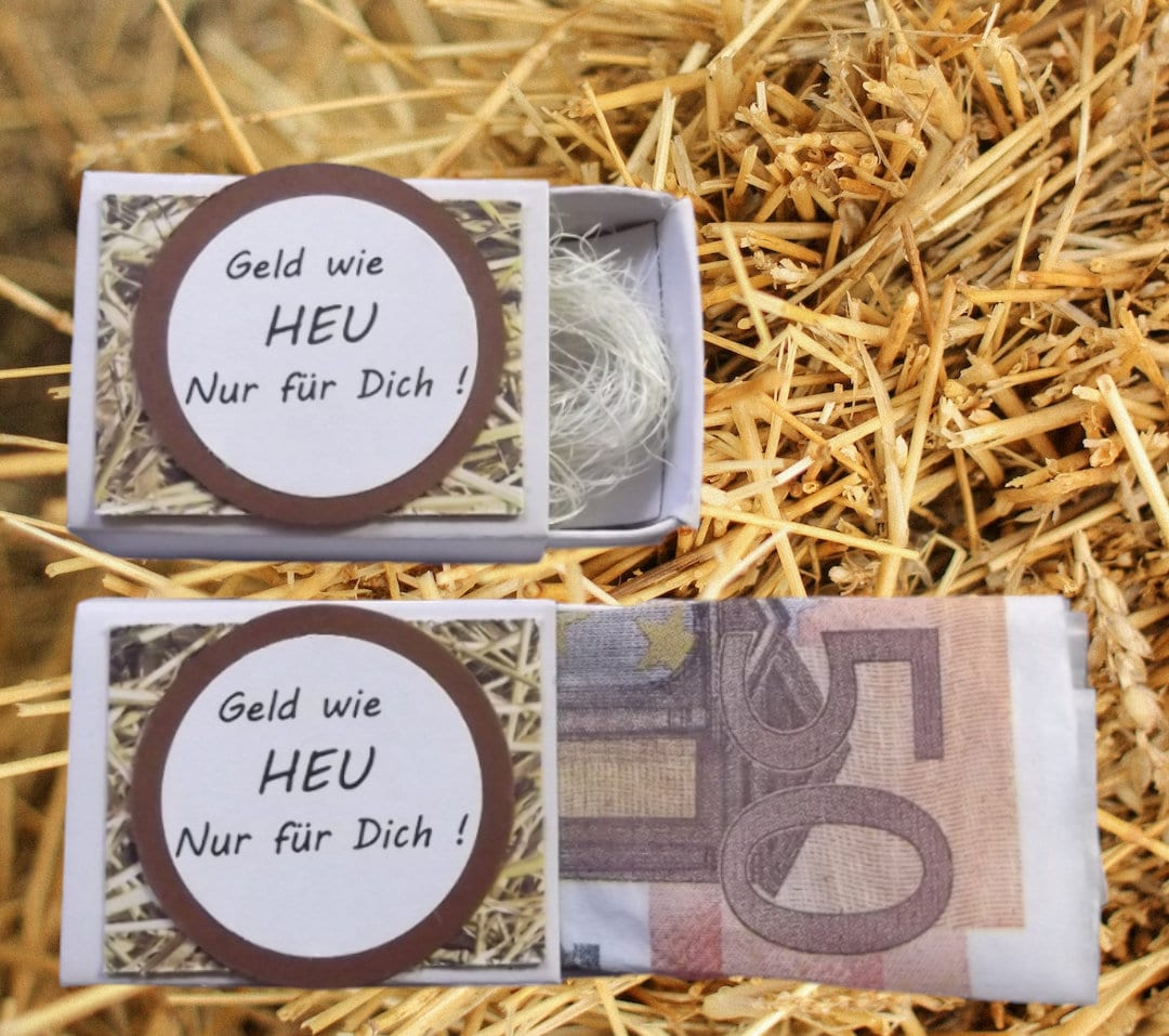 2x Geld wie Heu Geldgeschenk Box Volljährigkeit 18 Geburtstag Abitur