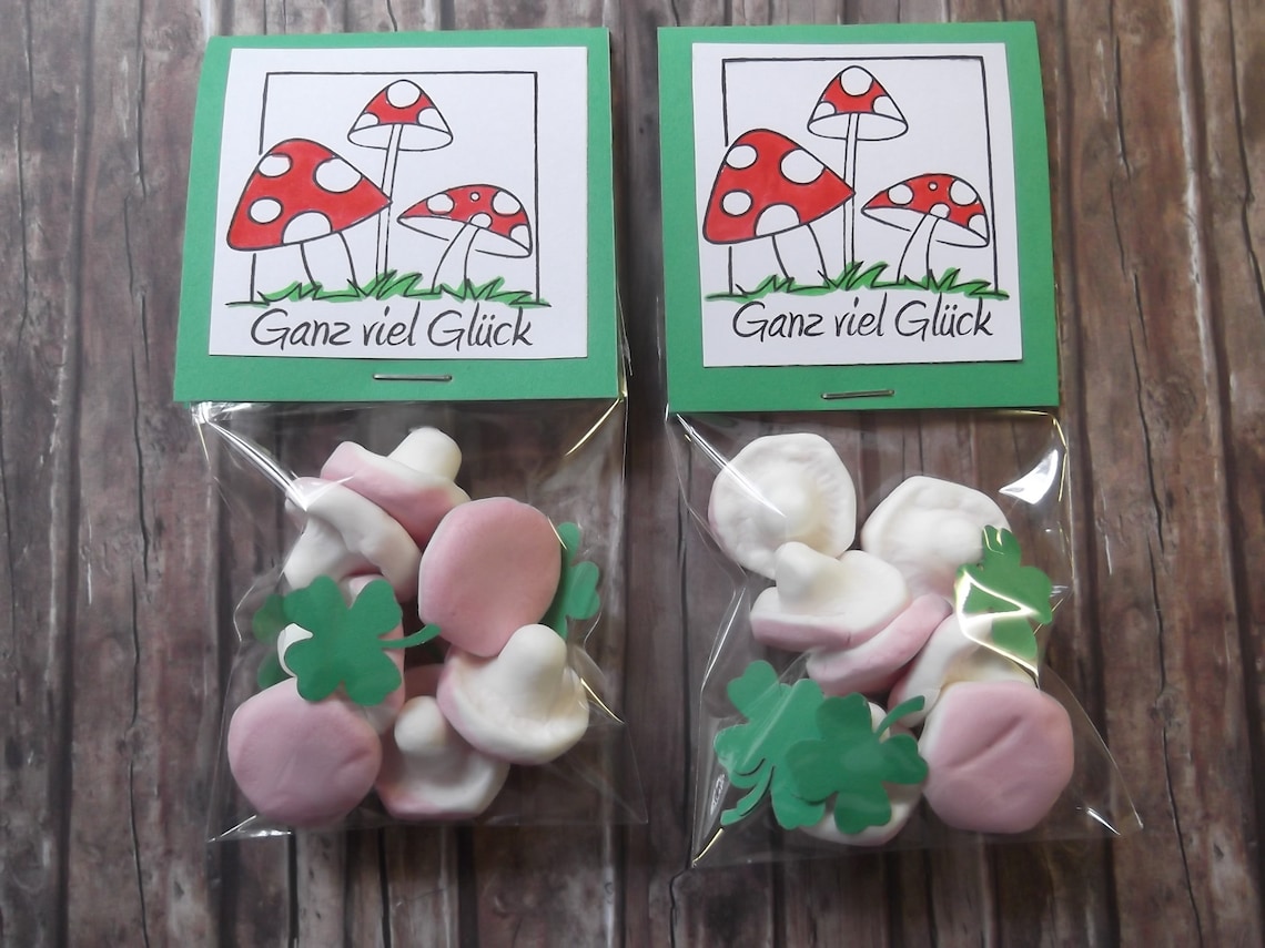 2x Glückspilze süße Schaumzucker Pilze Geschenk Geburtstag - Etsy.de