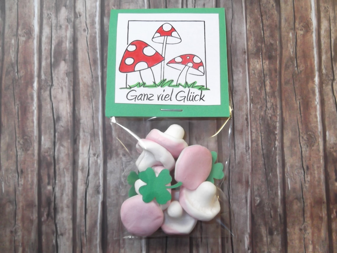 2x Glückspilze süße Schaumzucker Pilze Geschenk Geburtstag - Etsy.de