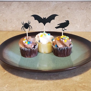 May include: Three cupcakes on a green and brown plate, decorated with Halloween-themed toppers. The cupcakes have chocolate and vanilla frosting, and are topped with colorful sprinkles. The toppers include a spider, a bat, and a crow.