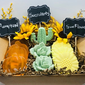 Fall Soaps