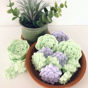 Mini Succulent Soap Gift Set  (Includes cotton bath tea bag)