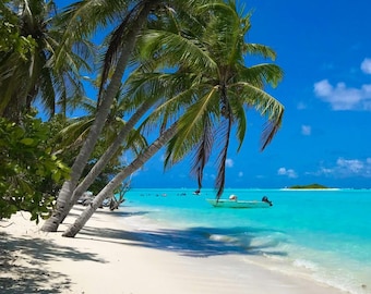 CHRISTMAS IN JULY surprise  game !