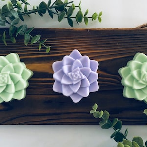 Succulent Soap