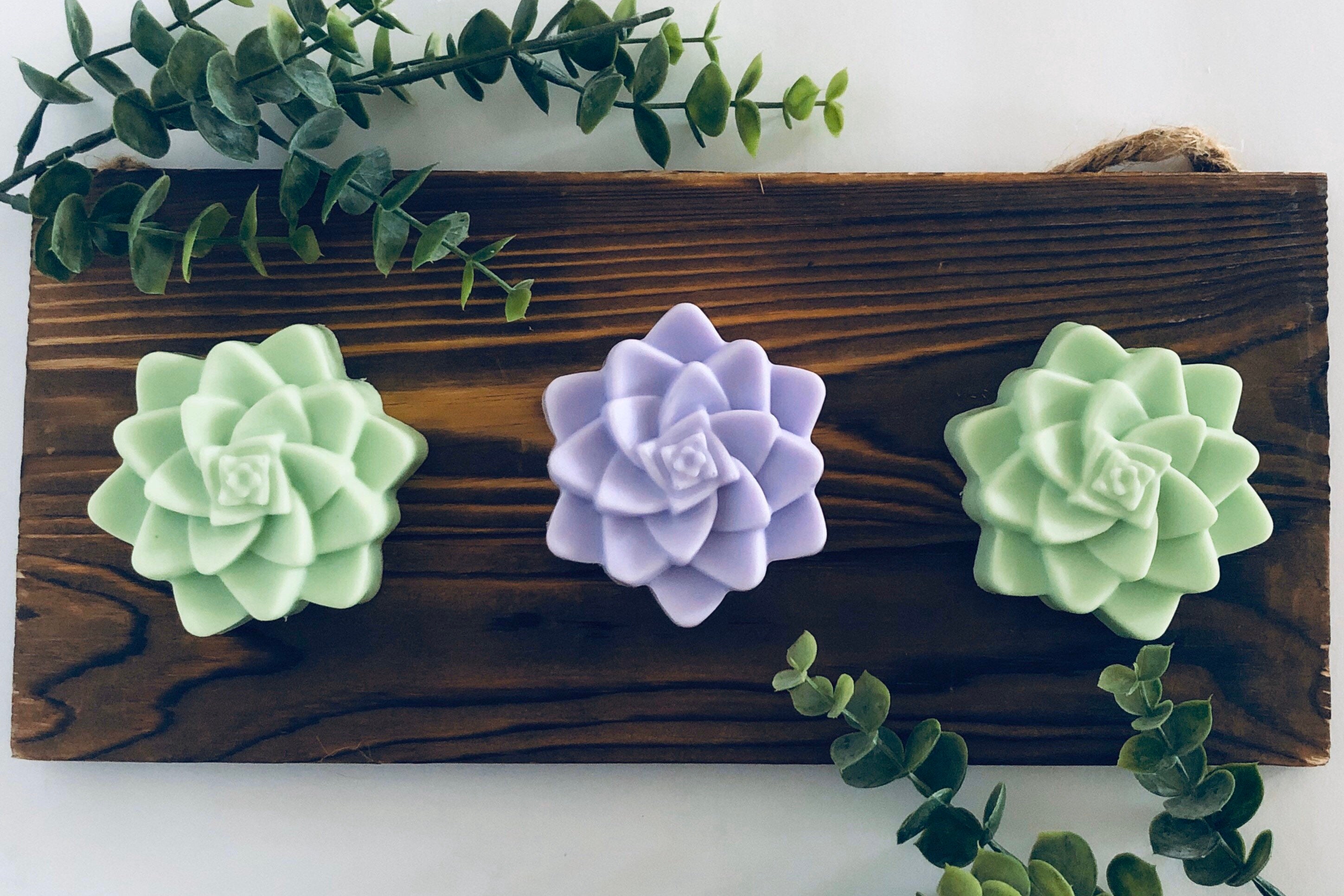 Succulent Soap
