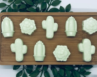 Mini Cactus Soap Favors