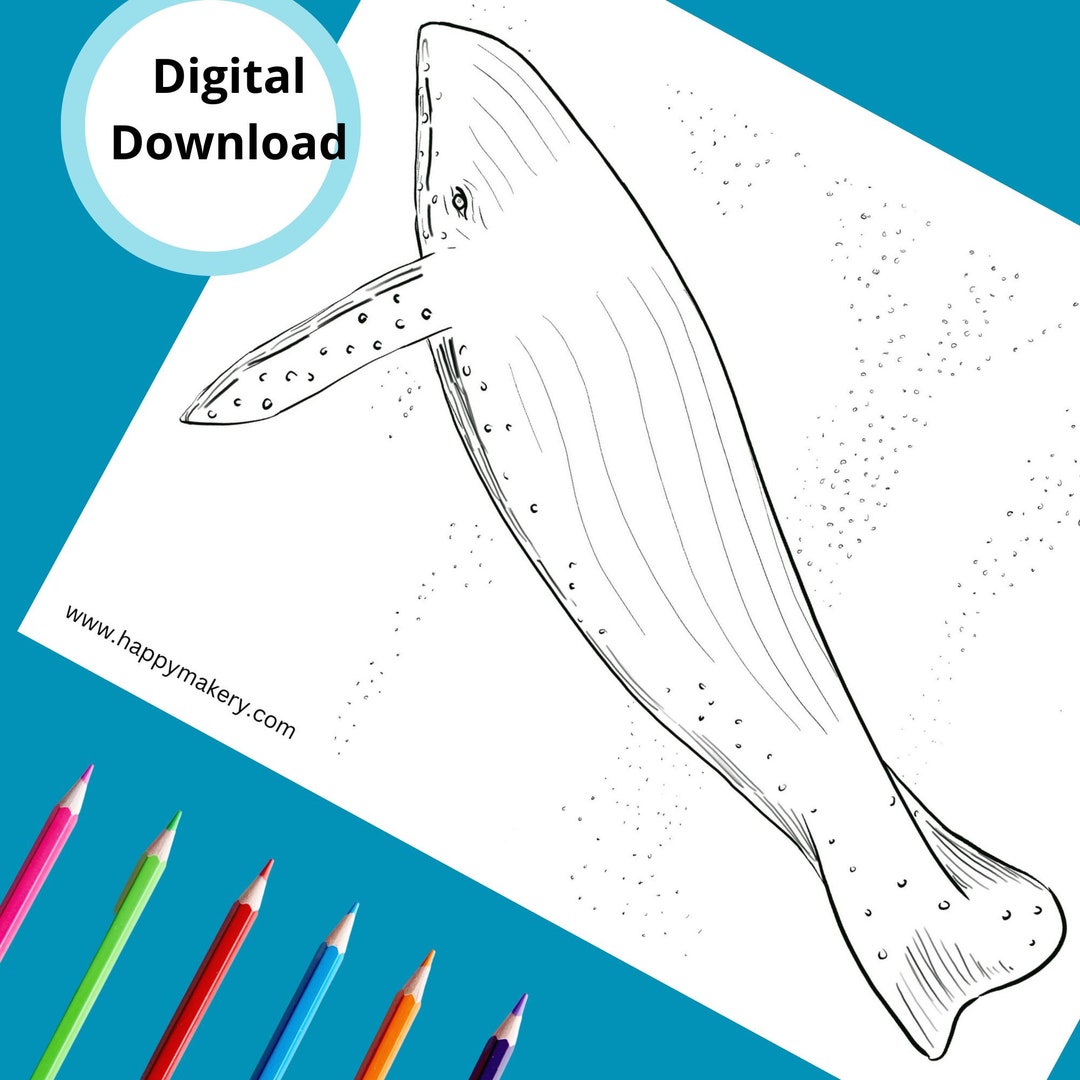 Whale Printable Coloring Page - Etsy