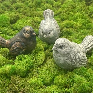 Set of 3 Cement Bird Statue, Farmhouse Decor, bird gifts, Housewarming, New Home Gift, plant pals, rustic garden, pot, Terrarium Figurine