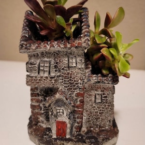 May include: A small, stone house-shaped planter with a red door and two windows. The planter is filled with green and burgundy succulents.