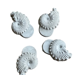 May include: Four gray concrete ammonite fossil sculptures. Each sculpture is a detailed replica of an ammonite shell.