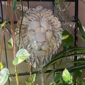 May include: A weathered, off-white lion head fountain with water flowing from its mouth. The fountain is mounted on a black metal trellis, surrounded by lush green plants with variegated leaves. The overall aesthetic is a blend of classic and natural elements.