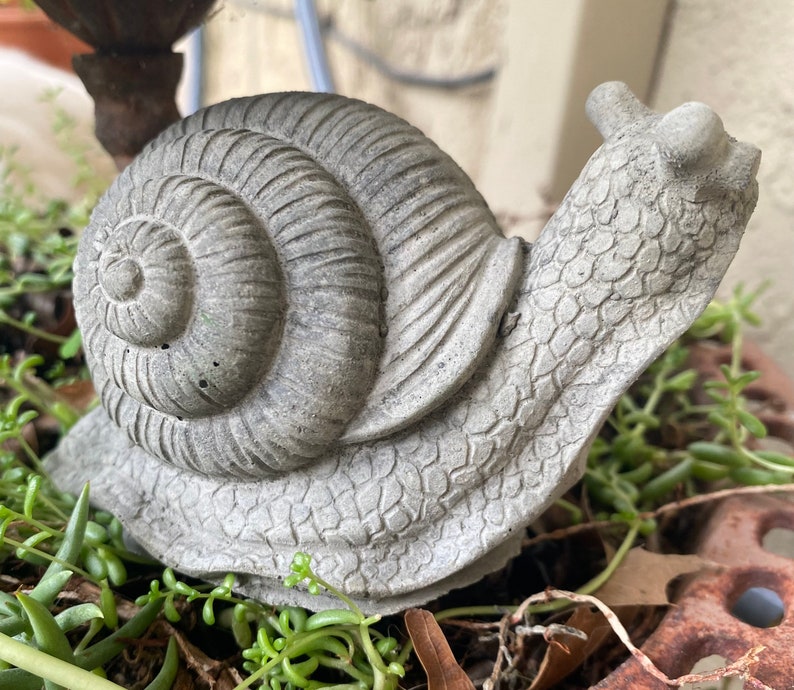 Snail Concrete Statue Garden Statue Garden Décor Snail Etsy