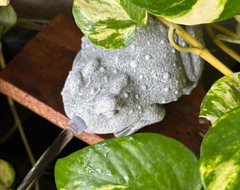 Concrete Spitting Frog Fountain 5”x3.5", Water Feature, solar pump spitter, tranquil Zen garden, toad spitter, gardener gift, pond decor