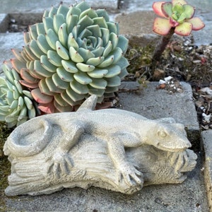 Concrete lizard on the log statue, lizard garden, 5&quot;x2.5&quot;x2&quot;, Reptile Garden Decor, shelf decor, pond decor, gift for gardener, garden art