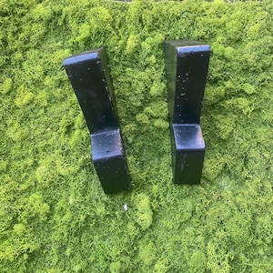 May include: Two black metal shelf brackets, each with a rectangular shape and a slightly angled top edge. The brackets are set against a backdrop of green moss.