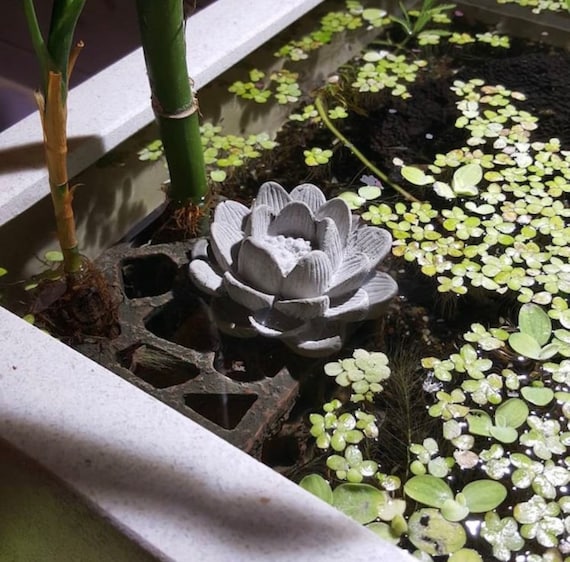 Asie jardin fleur de lotus décoration fleur de lotus solaire pour