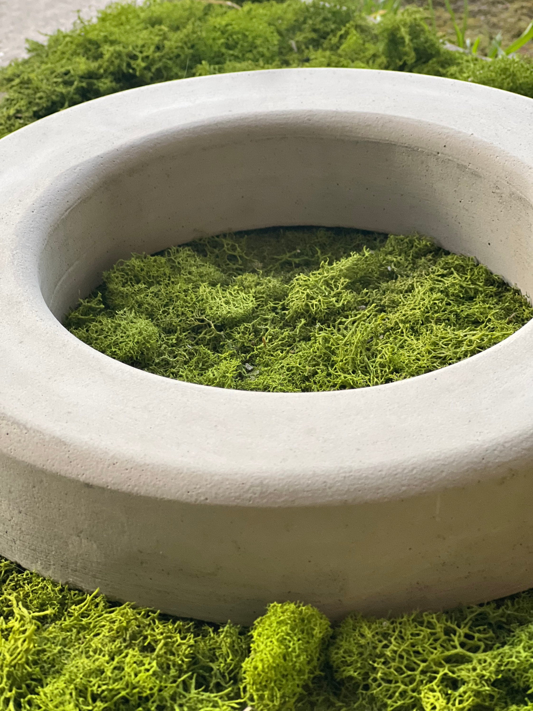 6 Inch Hole Concrete Sprinkler Guard Ring Protector Donut Etsy Canada