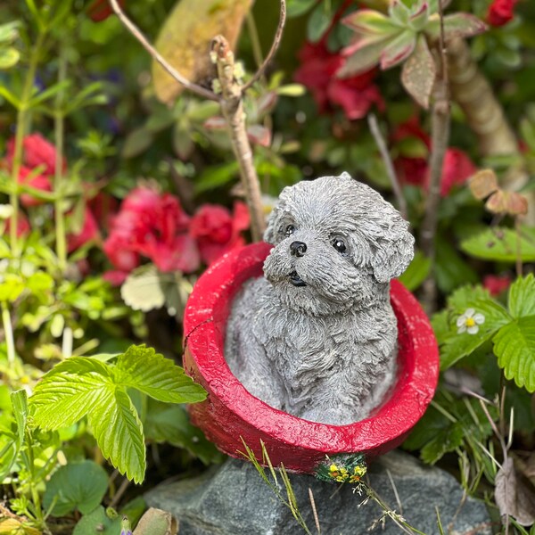 Outdoor Maltese Garden Statue Etsy